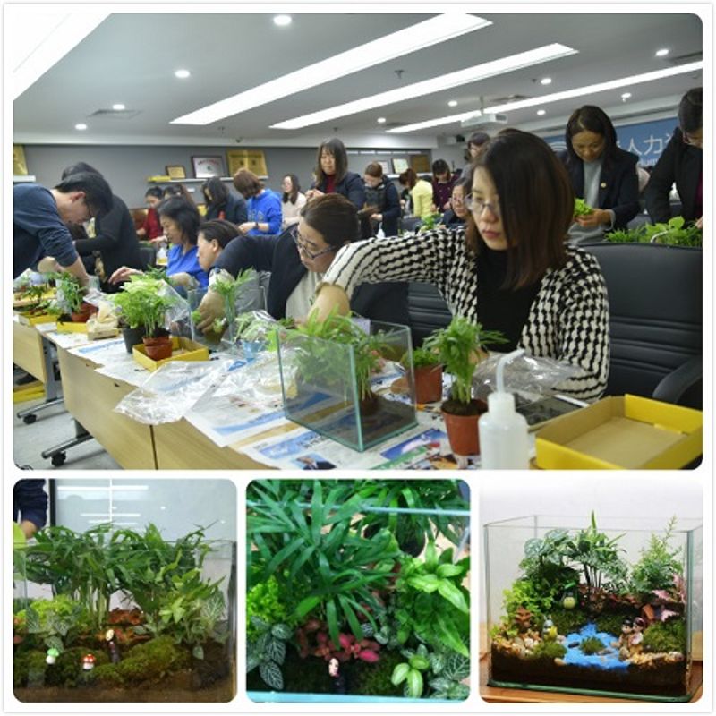 k豆钱包人力三八活动照片(4) k豆钱包人力三八活动照片(4)