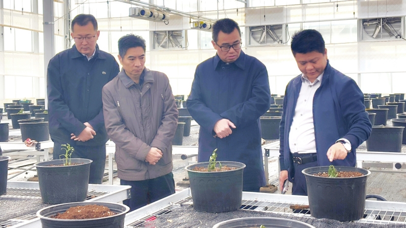 k��Ǯ���ٷ���վ - kdpayǮ��